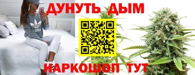 таблы Новозыбков