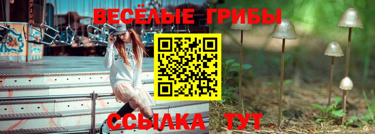Удомля  Галлюциногенные грибы Magic Shrooms  Галлюциногенные грибы мухоморы  купить наркотики цена  Вход с VPN 